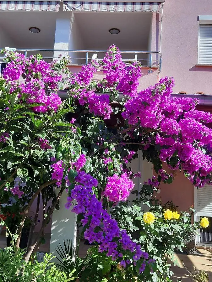Apartments Ulika Rovinj